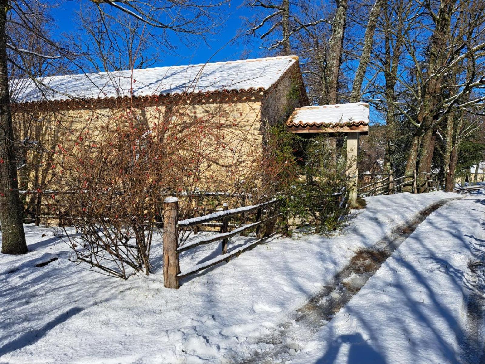 Hotel Torre Camigliati Dimora Storica Camigliatello Silano Exterior foto