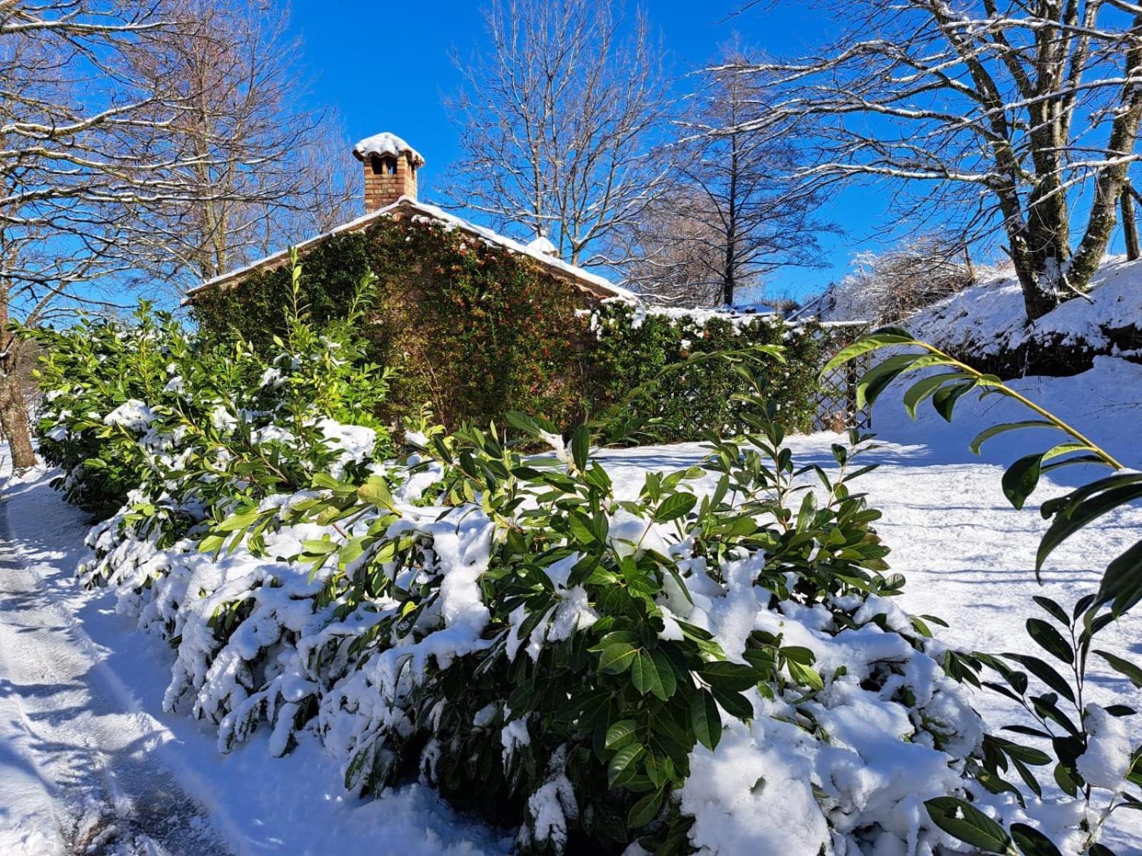 Hotel Torre Camigliati Dimora Storica Camigliatello Silano Exterior foto