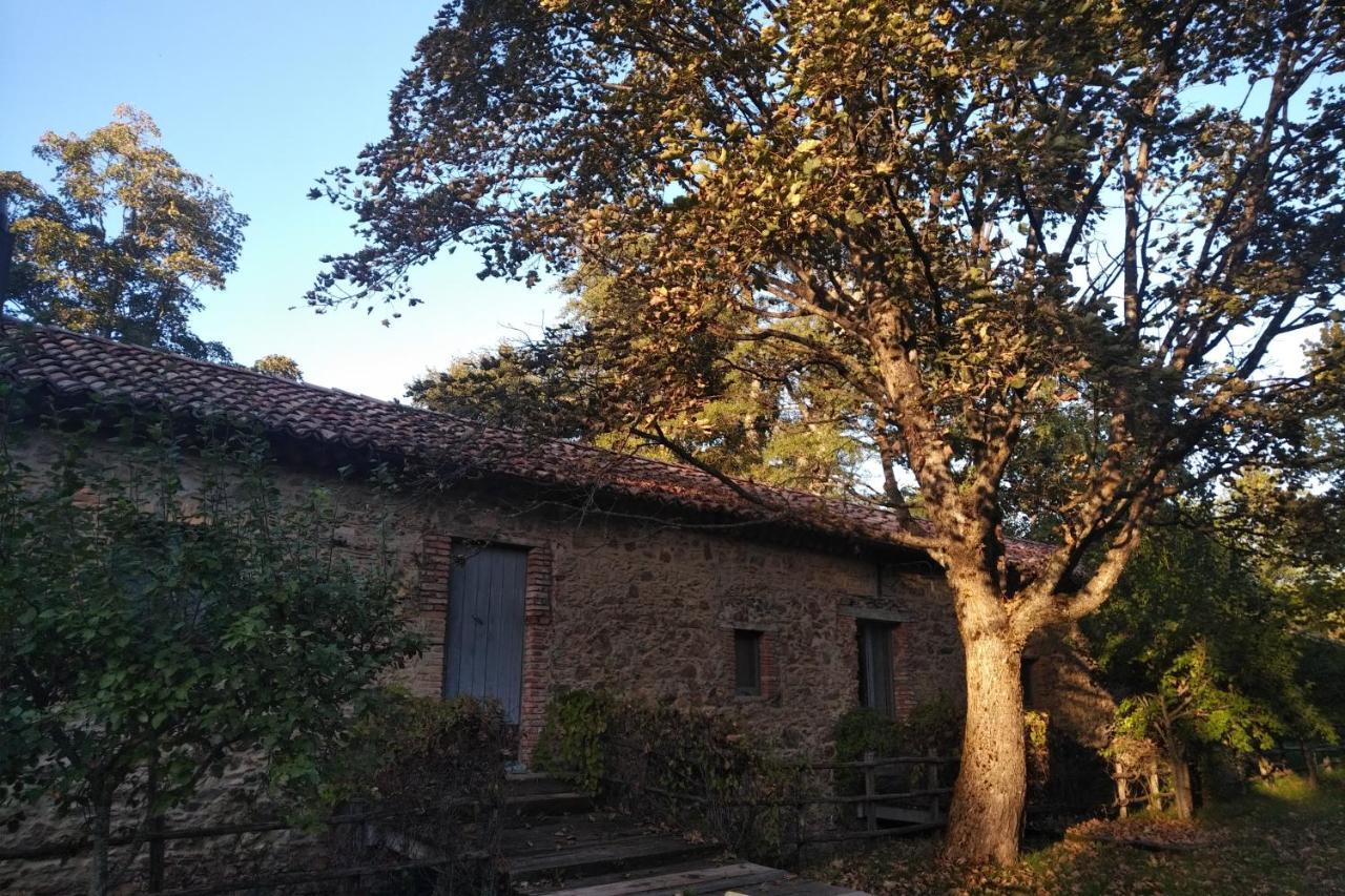 Hotel Torre Camigliati Dimora Storica Camigliatello Silano Exterior foto